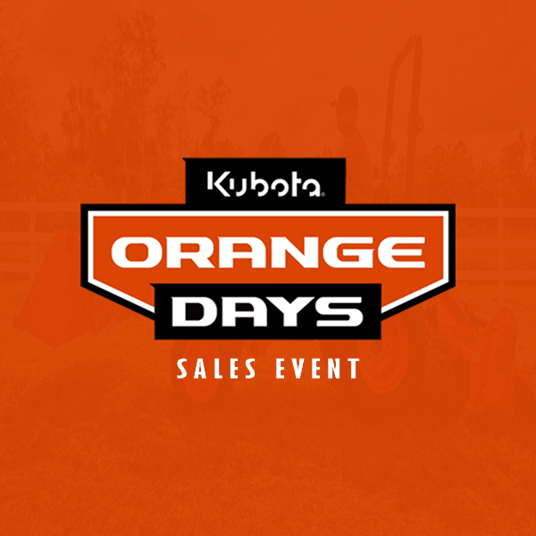 orange days 600x600 thmb